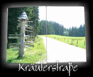 Krauterstrasse